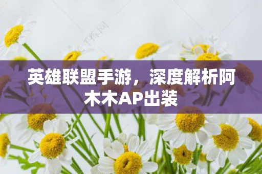 深度解析阿木木AP出装图片