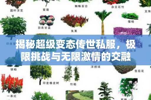 极限挑战与无限激情的交融图片