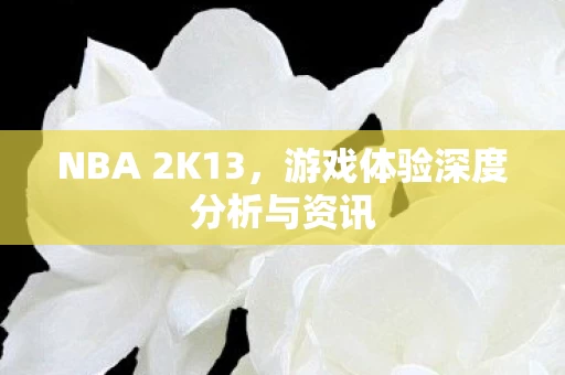 游戏体验深度分析与资讯图片