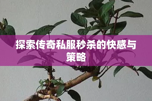 探索传奇私服秒杀的快感与策略图片