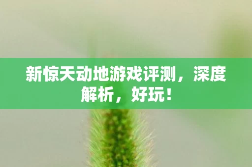 新惊天动地游戏评测图片