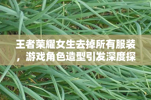 王者荣耀女生去掉所有服装图片
