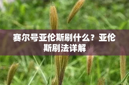 赛尔号亚伦斯刷什么图片