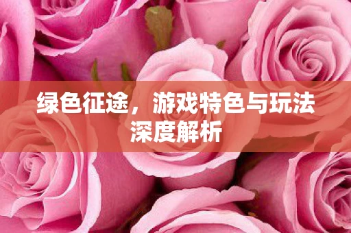 游戏特色与玩法深度解析图片