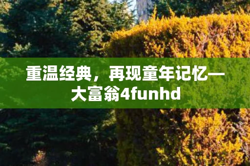 大富翁4funhd图片