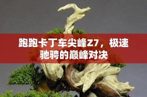 跑跑卡丁车尖峰Z7图片