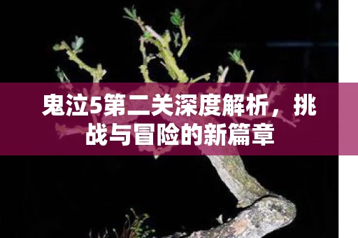 鬼泣5第二关深度解析图片
