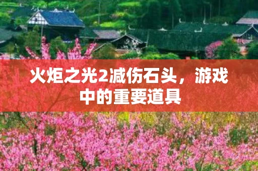 火炬之光2减伤石头图片