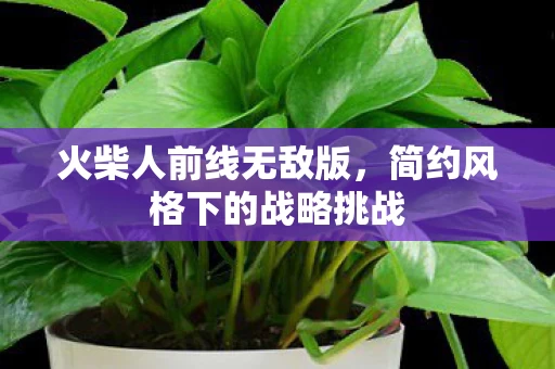 简约风格下的战略挑战图片