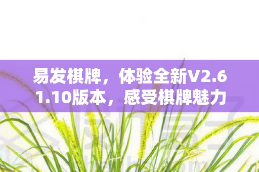 体验全新V2图片
