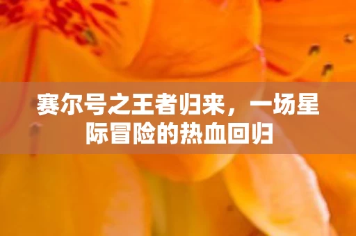 一场星际冒险的热血回归图片