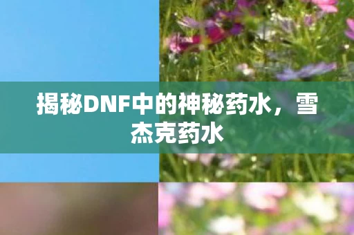 揭秘DNF中的神秘药水图片