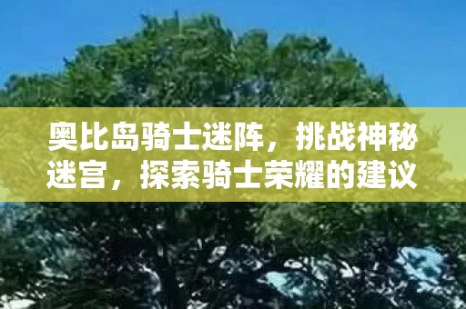 探索骑士荣耀的建议与攻略图片