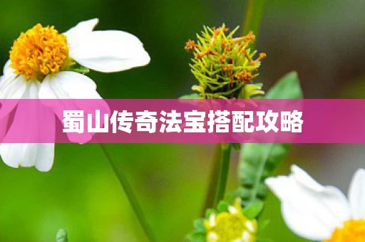 蜀山传奇法宝搭配攻略图片