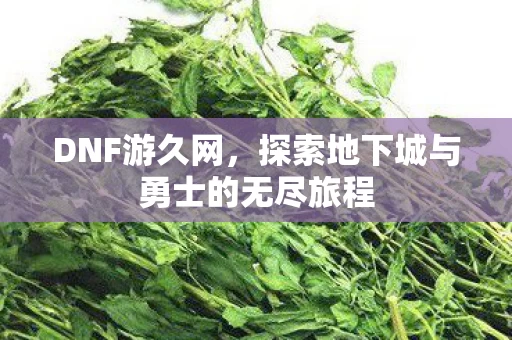 探索地下城与勇士的无尽旅程图片