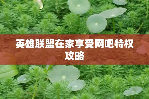 英雄联盟在家享受网吧特权攻略图片