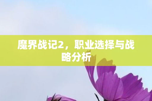 职业选择与战略分析图片
