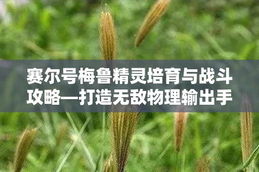 赛尔号梅鲁精灵培育与战斗攻略图片