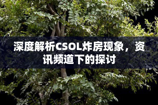 深度解析CSOL炸房现象图片