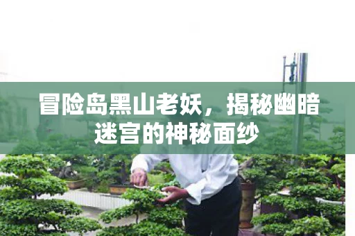 揭秘幽暗迷宫的神秘面纱图片