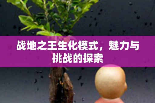 战地之王生化模式图片