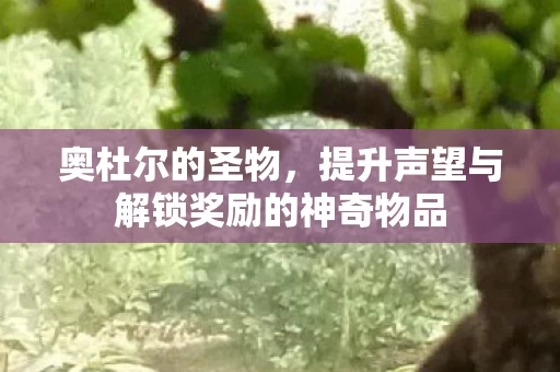 提升声望与解锁奖励的神奇物品图片