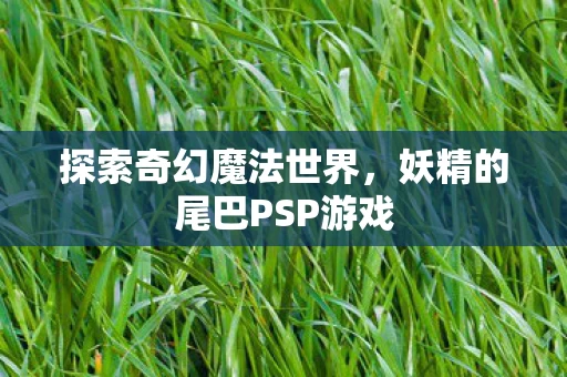 妖精的尾巴PSP游戏图片