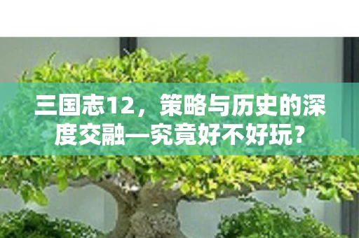 策略与历史的深度交融图片