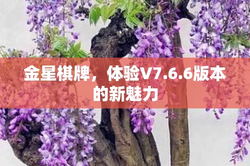 6版本的新魅力图片