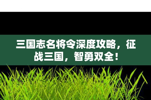 三国志名将令深度攻略图片