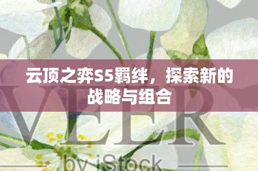 探索新的战略与组合图片