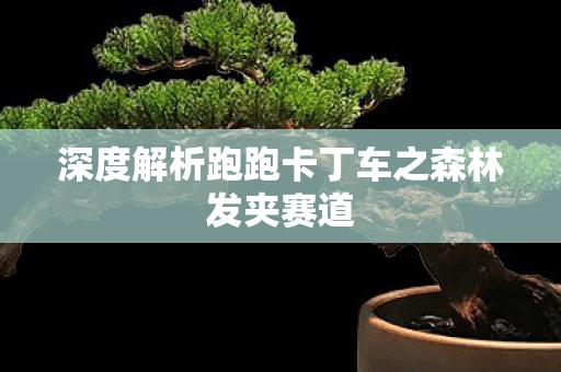 深度解析跑跑卡丁车之森林发夹赛道图片