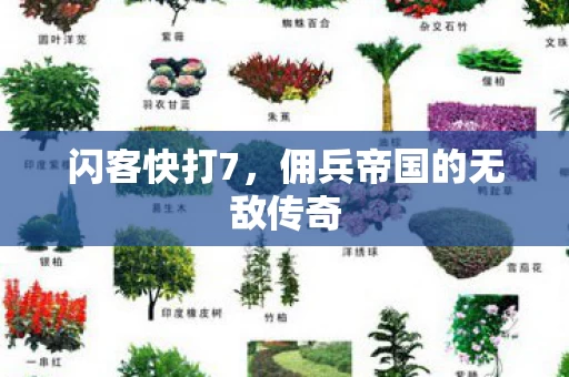佣兵帝国的无敌传奇图片