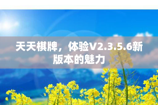 6新版本的魅力图片