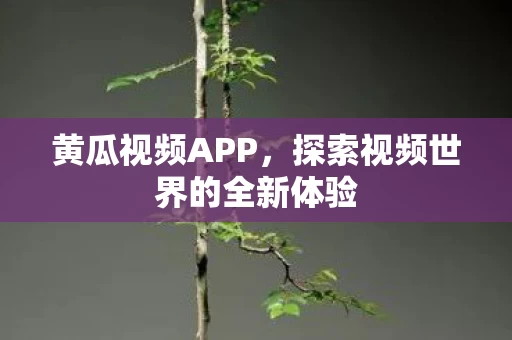探索视频世界的全新体验图片