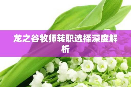 龙之谷牧师转职选择深度解析图片