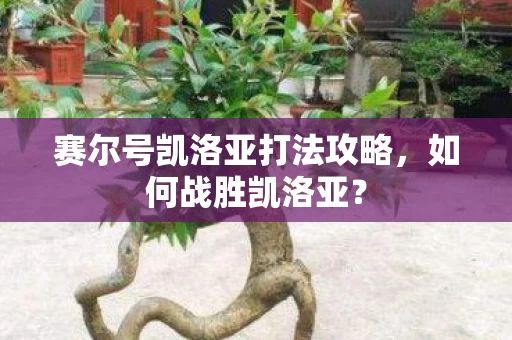 赛尔号凯洛亚打法攻略图片