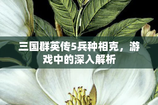 三国群英传5兵种相克图片