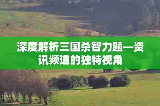 深度解析三国杀智力题图片