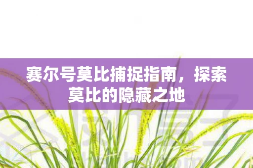 赛尔号莫比捕捉指南图片