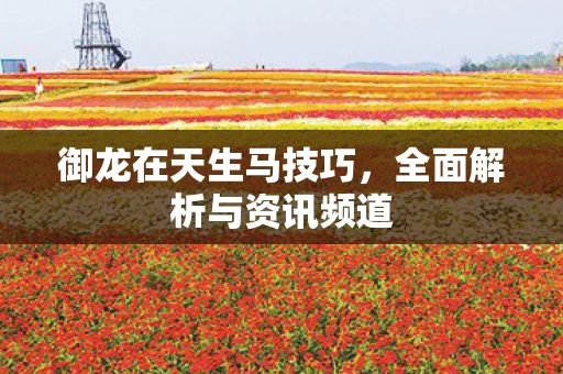 全面解析与资讯频道图片