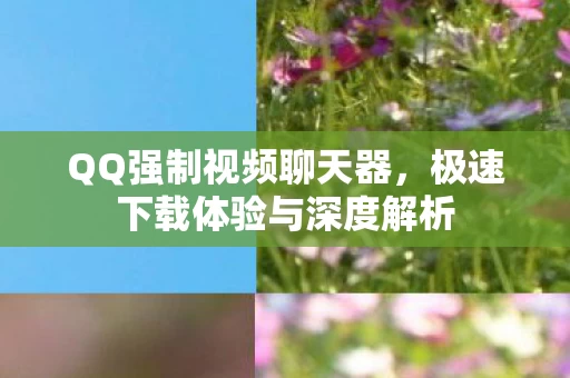 极速下载体验与深度解析图片