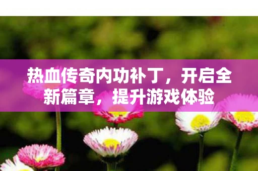 热血传奇内功补丁图片