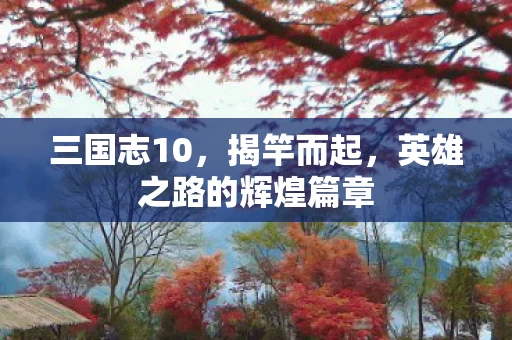 英雄之路的辉煌篇章图片