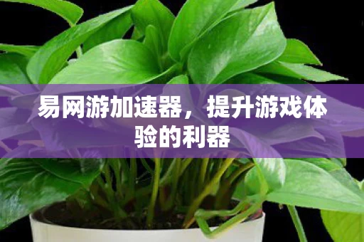 提升游戏体验的利器图片
