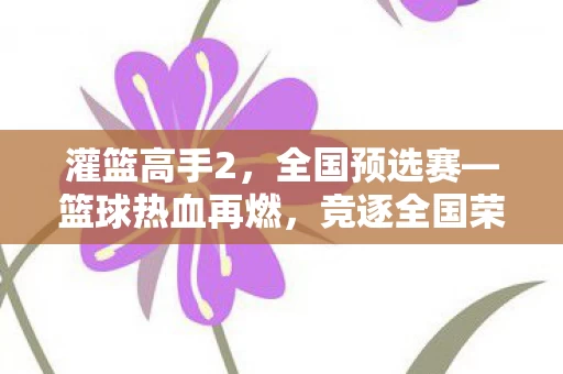 篮球热血再燃图片