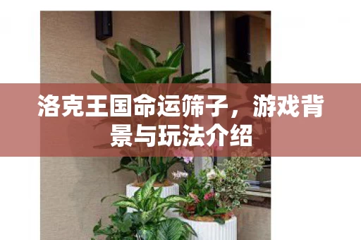 游戏背景与玩法介绍图片