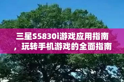 三星S5830i游戏应用指南图片