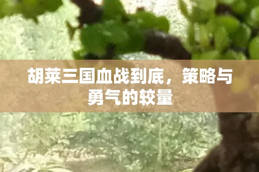 胡莱三国血战到底图片
