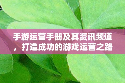 手游运营手册及其资讯频道图片